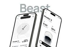 Beast Tesla Rent - Rent a Tesla